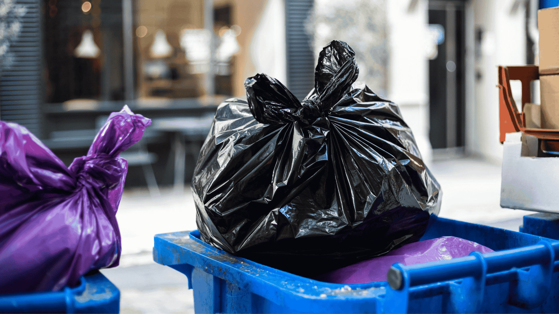 Waste Management